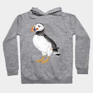 Painted Puffin Hoodie